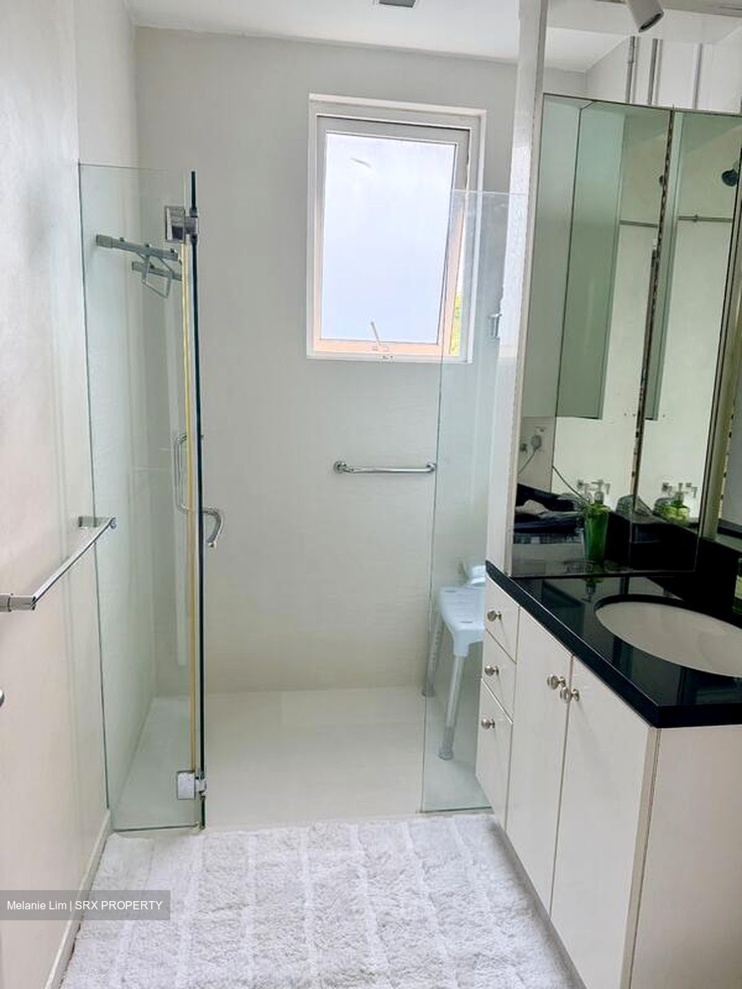 Botanic Gardens View (D10), Apartment #497947051